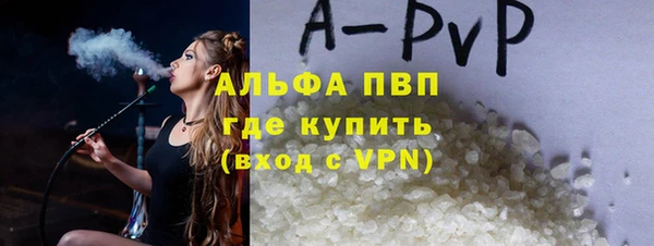стафф Алзамай