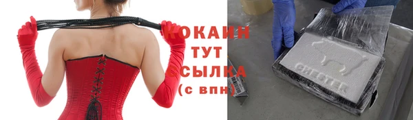 стафф Алзамай