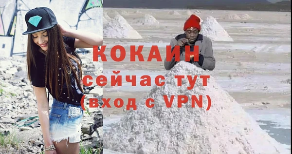 твердый Алексин