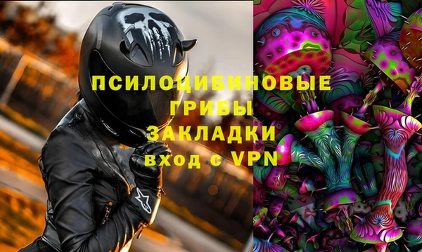 твердый Алексин