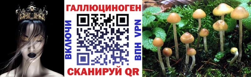 Галлюциногенные грибы MAGIC MUSHROOMS  сколько стоит  мориарти состав  Уссурийск 